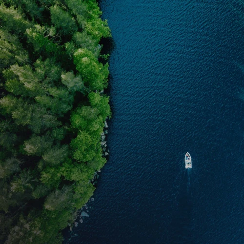 Aerial view of a freshwater lake surrounded by forest